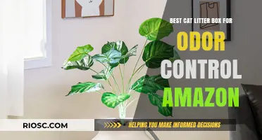 Top Amazon Picks: Best Cat Litter Boxes for Superior Odor Control