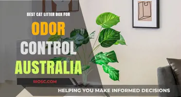 Top Odor-Control Cat Litter Boxes in Australia: Keep Your Home Fresh and Clean