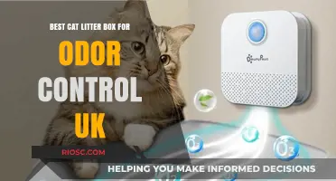 Top UK Cat Litter Boxes for Superior Odor Control: Keep Your Home Fresh