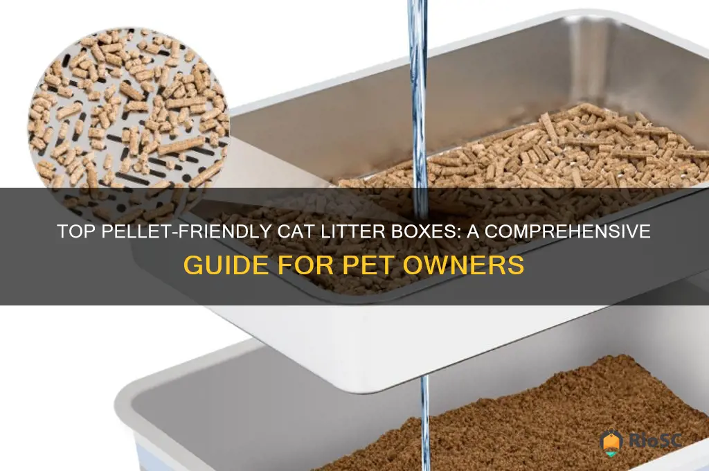 best cat litter box for pellets