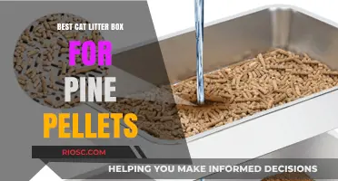 Eco-Friendly and Odor-Free: The Ultimate Guide to Choosing the Best Cat Litter Box for Pine Pellets