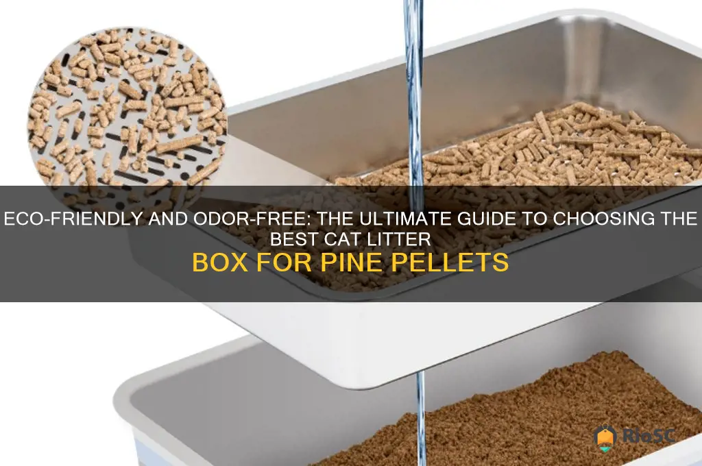 best cat litter box for pine pellets