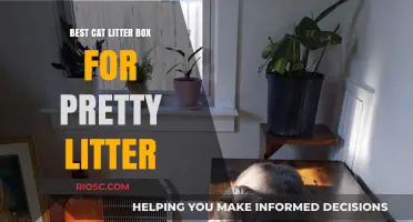 Top Cat Litter Box Recommendations for Using Pretty Litter: Enhance Your Feline’s Experience