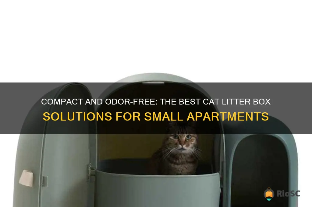 best cat litter box for small apartment