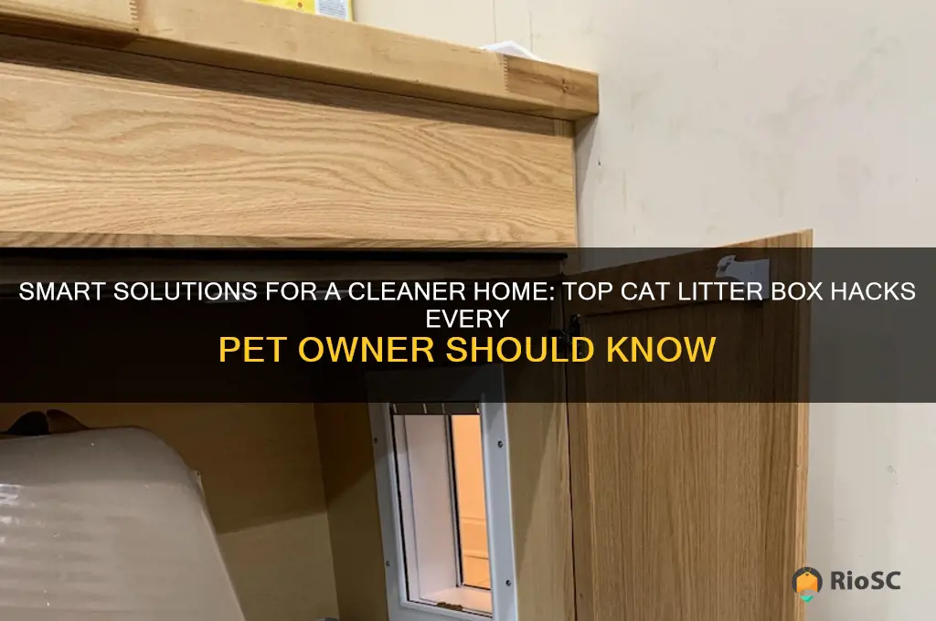 best cat litter box hacks