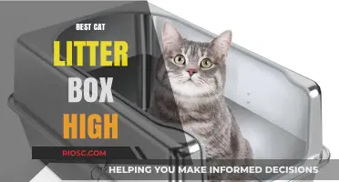 Elevate Your Cat’s Experience: The Best High-Sided Litter Boxes for Mess-Free Living