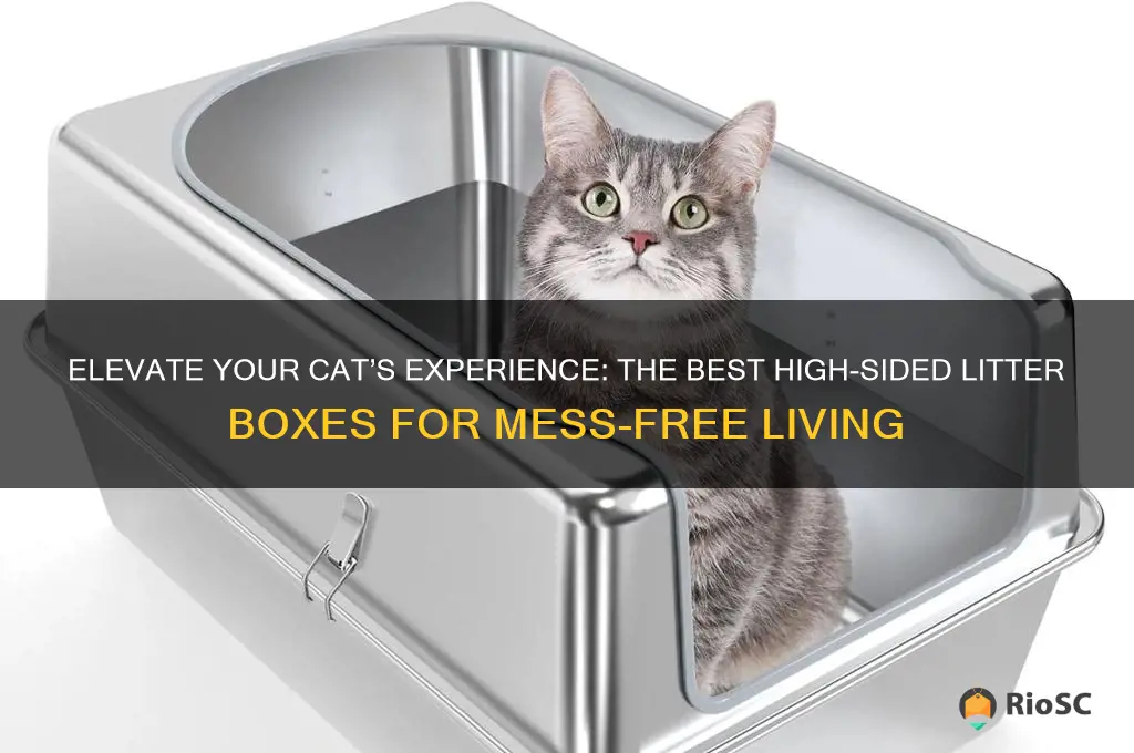 best cat litter box high