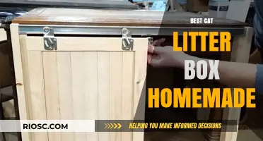 DIY Cat Litter Box: Creative Homemade Solutions for a Happy Feline