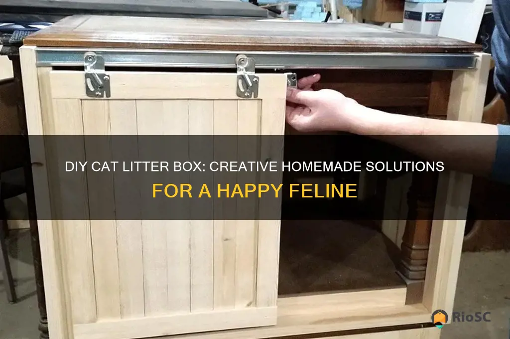 best cat litter box homemade