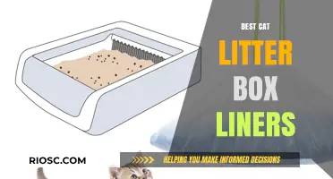 Top-Rated Cat Litter Box Liners for Easy Cleanup and Odor Control