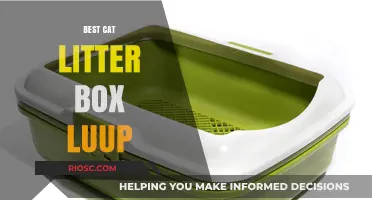 Revolutionize Your Cat Care: The Luup Litter Box Tops the List as the Best Choice for Feline Owners