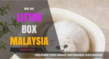Top Picks for the Best Cat Litter Box in Malaysia: A Comprehensive Guide for Cat Owners