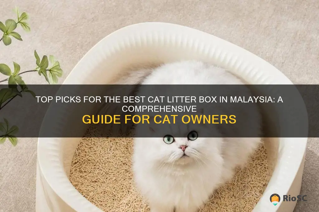 best cat litter box malaysia