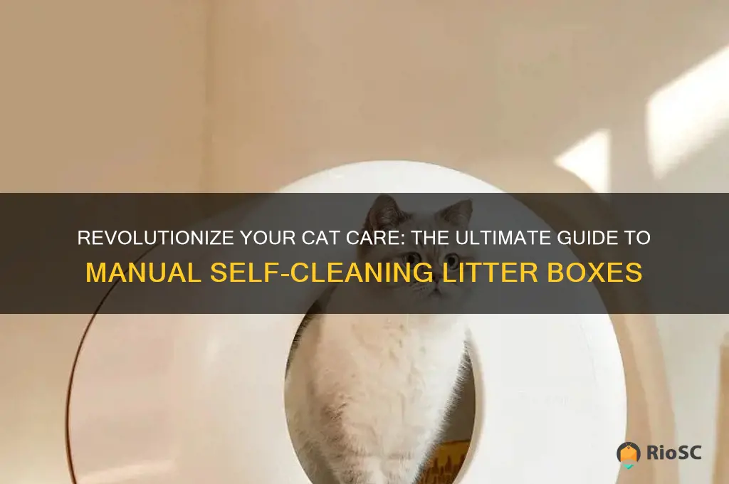 best cat litter box manual self cleaning