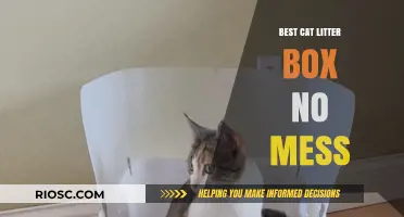 Revolutionary Mess-Free Cat Litter Box: The Ultimate Solution for Clean and Stress-Free Pet Care