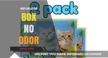 Say Goodbye to Smelly Cat Boxes: The Ultimate Odor-Free Litter Box Solution