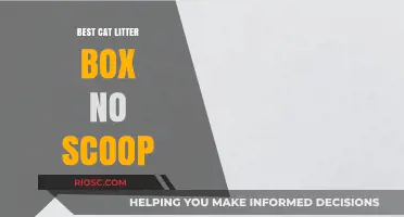 Revolutionary Hands-Free Cat Litter Solutions: Top No-Scoop Litter Boxes for Effortless Cleaning