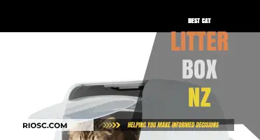Top Picks for the Best Cat Litter Boxes in New Zealand: A Comprehensive Guide
