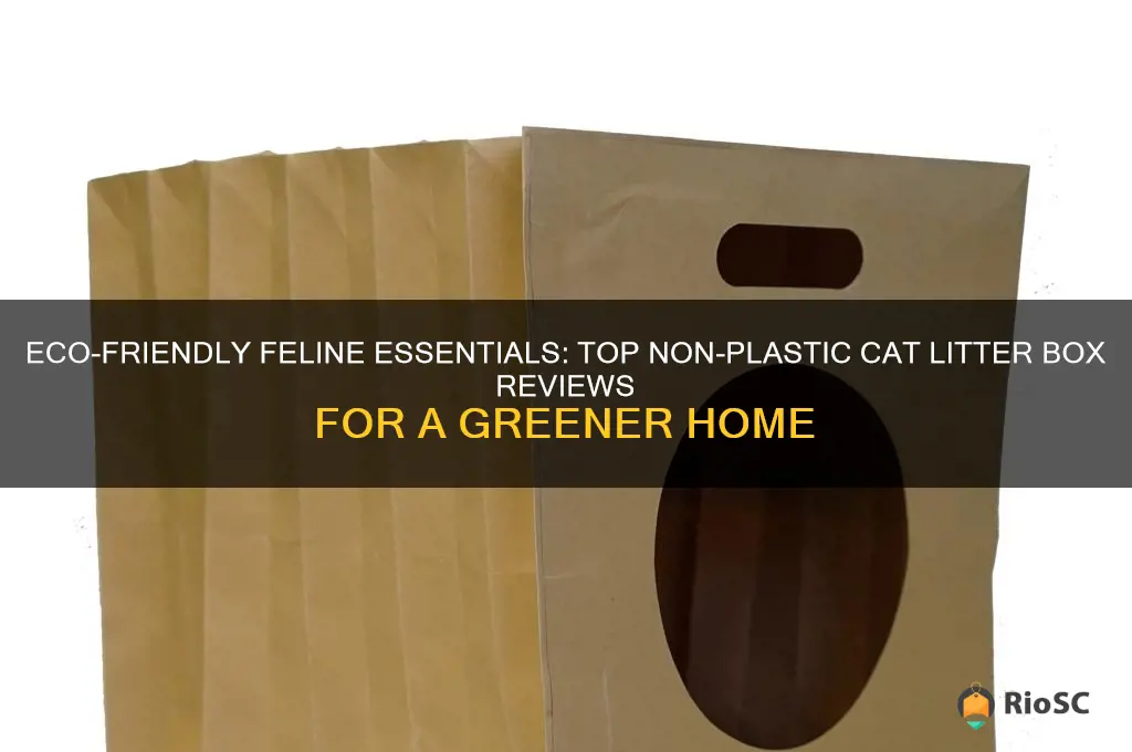 best cat litter box reviews not plastic
