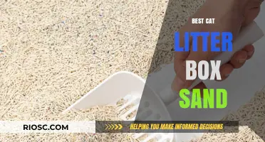 Top Picks for the Best Cat Litter Box Sand: Comfort and Convenience for Your Feline Friend