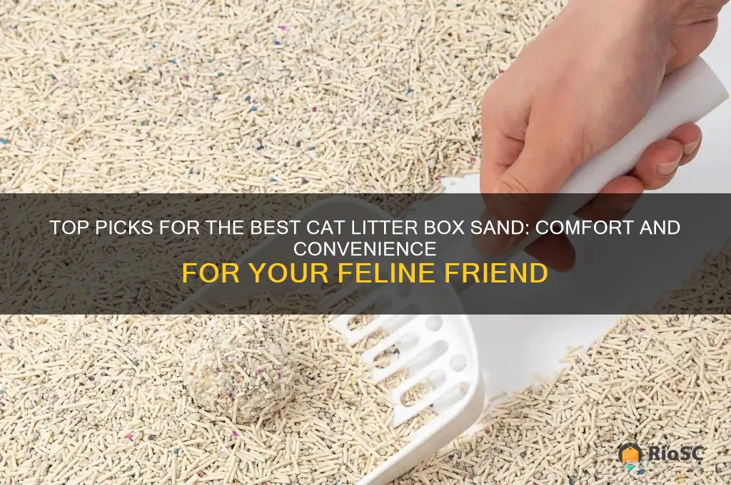 best cat litter box sand