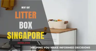 Top Picks for the Best Cat Litter Box in Singapore: Keep Your Feline Friend Happy and Your Home Clean