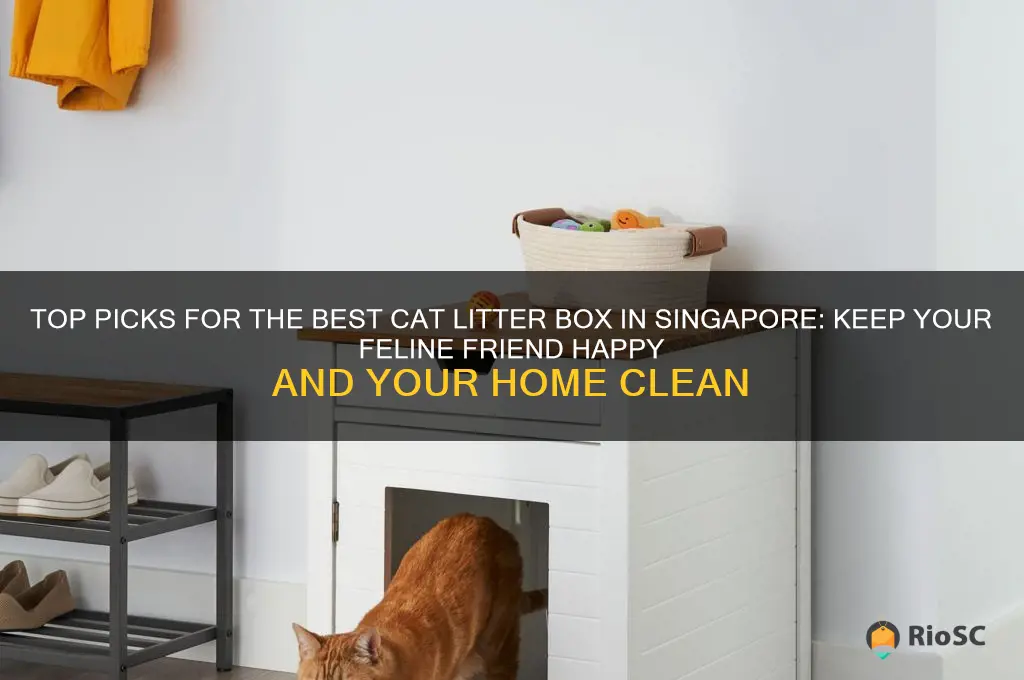 best cat litter box singapore