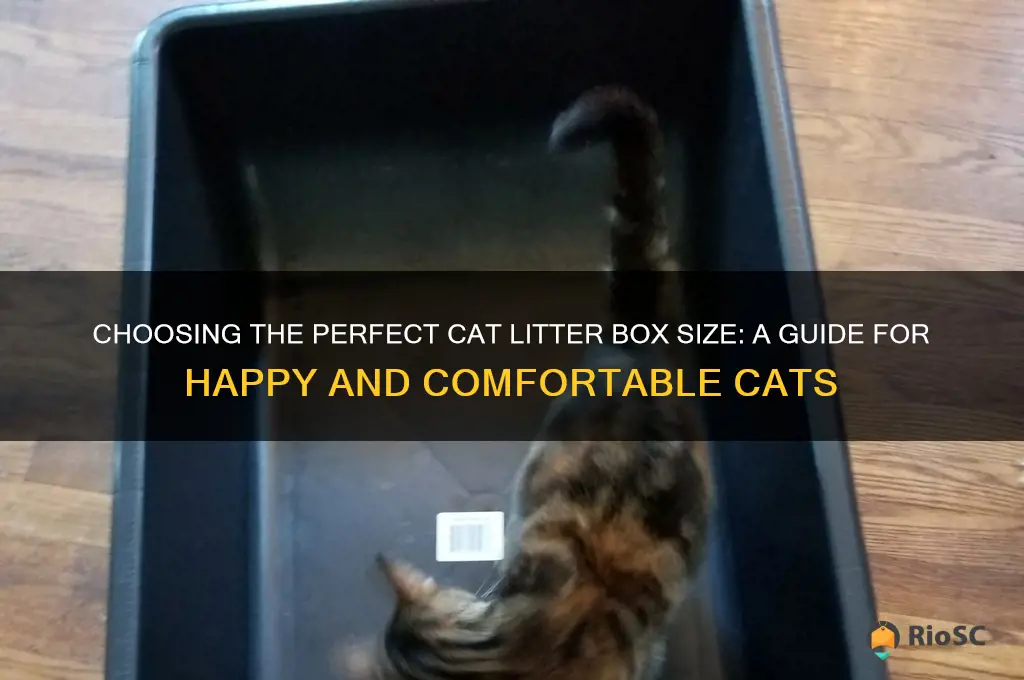 best cat litter box size