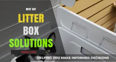 Purr-fectly Clean: Top Cat Litter Box Solutions for a Fresh and Happy Home