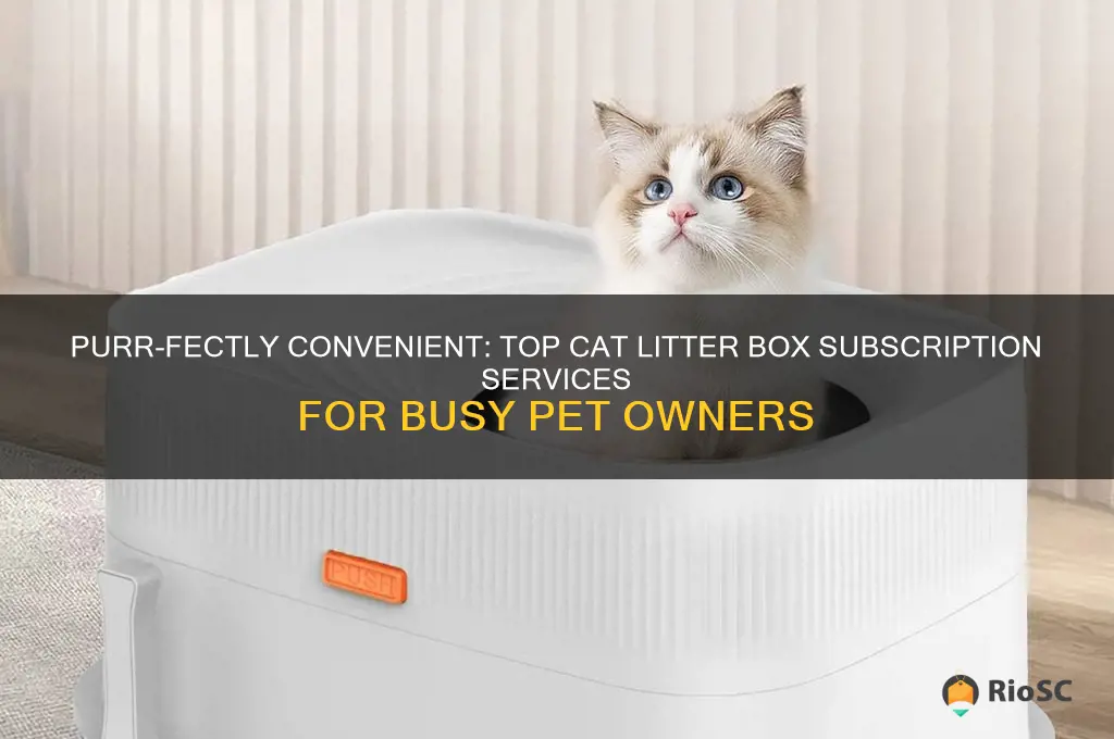 best cat litter box subscription