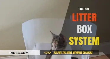 Revolutionary Cat Litter Box Systems: Top Picks for Odor Control, Ease of Cleaning, and Feline Comfort