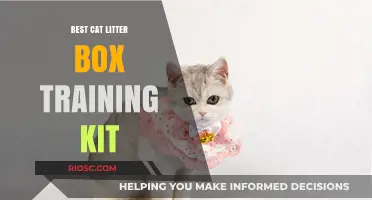 Purr-fect Start: Top Cat Litter Box Training Kit Essentials for Stress-Free Potty Training