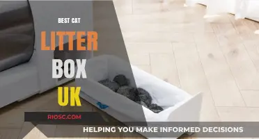 Top-Rated Cat Litter Boxes in the UK: Finding the Perfect Fit for Your Feline Friend