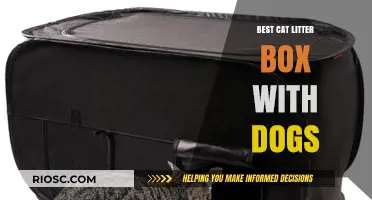 Pet-Friendly Solutions: Top Cat Litter Boxes That Keep Dogs Out and Mess Contained