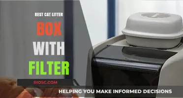 Top-Rated Cat Litter Boxes with Built-In Filters for Odor Control and Freshness