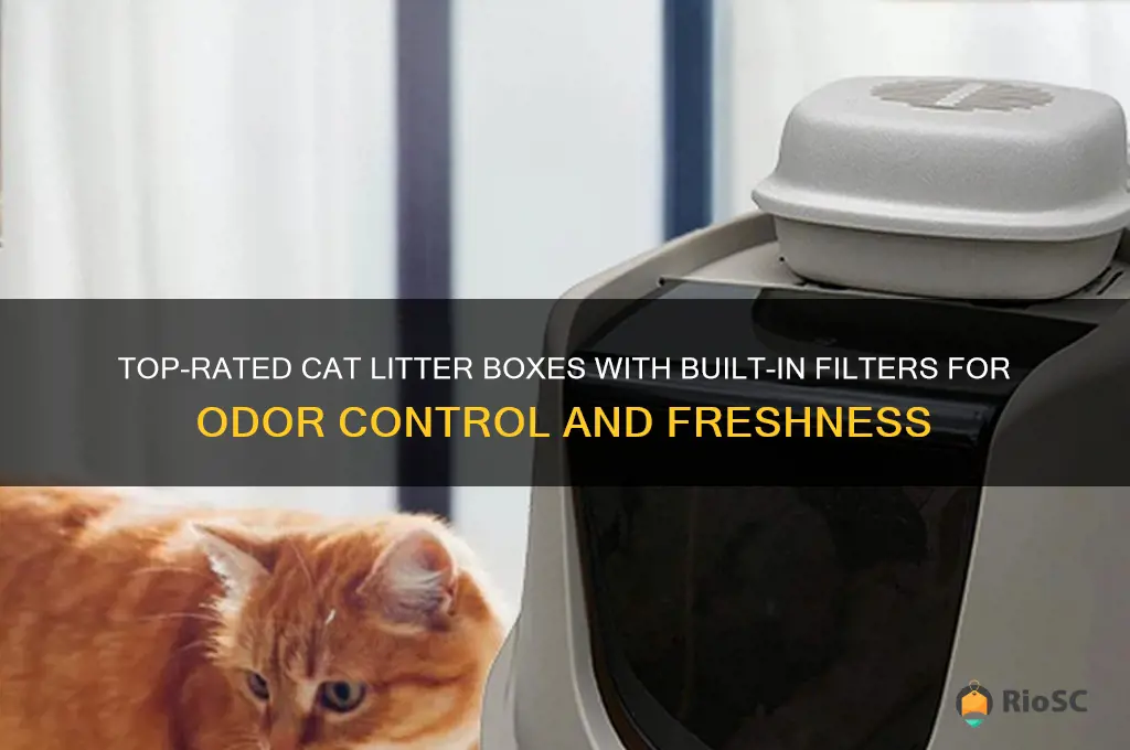 best cat litter box with filter