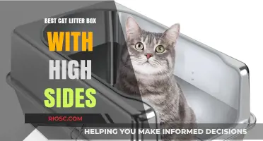 Top Picks: High-Sided Cat Litter Boxes for Mess-Free Living