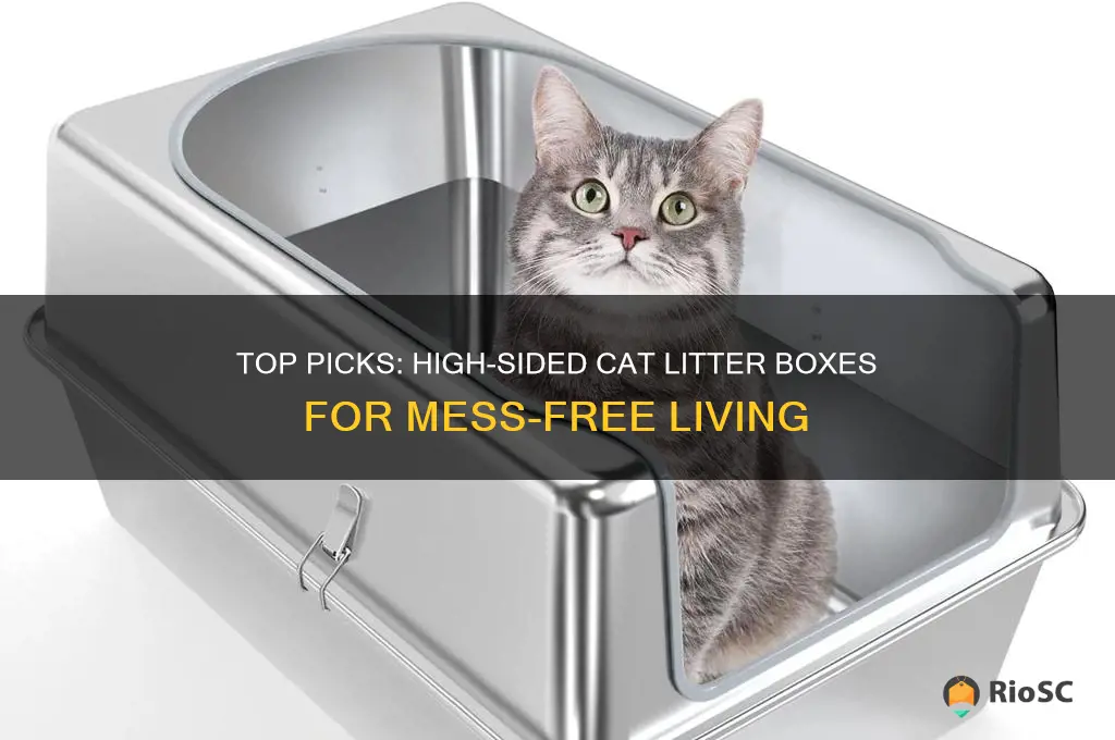 best cat litter box with high sides