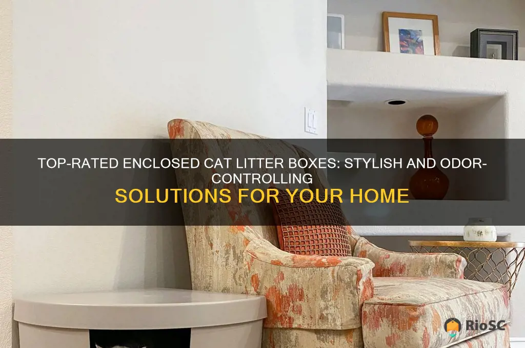 best cat litter box with lid