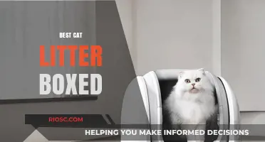 Top-Rated Cat Litter Boxes: Finding the Perfect Fit for Your Feline Friend