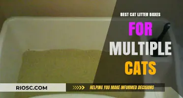 Top-Rated Cat Litter Boxes for Multi-Cat Households: Keep Your Feline Friends Happy and Your Home Clean
