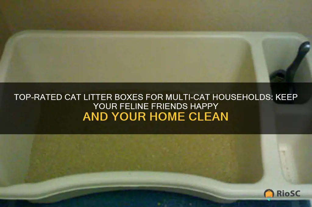 best cat litter boxes for multiple cats