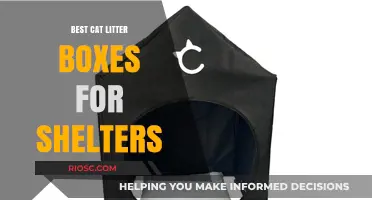 Top Cat Litter Box Solutions for Shelters: Enhancing Comfort and Hygiene for Feline Residents