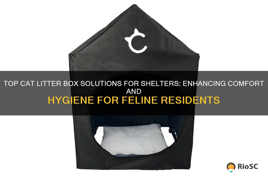 best cat litter boxes for shelters