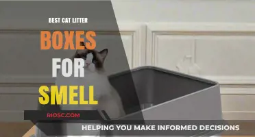 Odor-Free Solutions: Top Cat Litter Boxes to Keep Your Home Smelling Fresh
