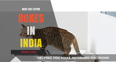 Top-Rated Cat Litter Boxes in India: A Comprehensive Guide for Pet Owners