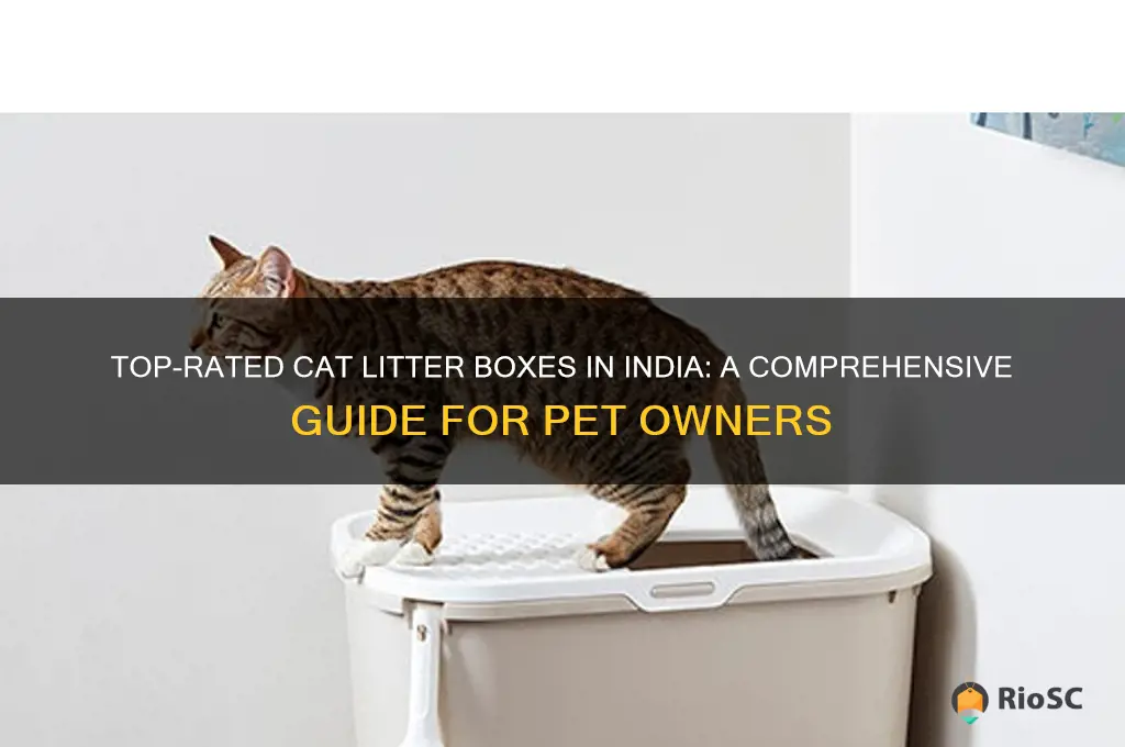 Top Rated Cat Litter Boxes In India A Comprehensive Guide Photo Inspiration
