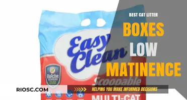 Effortless Cleaning: Top Low-Maintenance Cat Litter Boxes for Busy Pet Owners