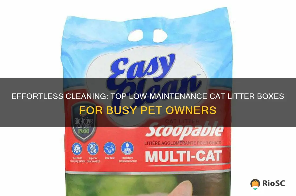 best cat litter boxes low matinence
