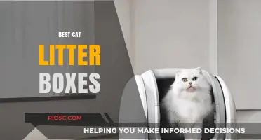 Top-Rated Cat Litter Boxes: Finding the Perfect Fit for Your Feline Friend